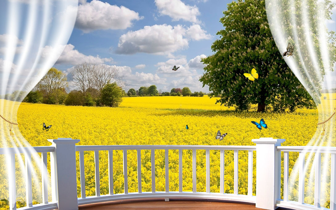 3D窗户花海电视