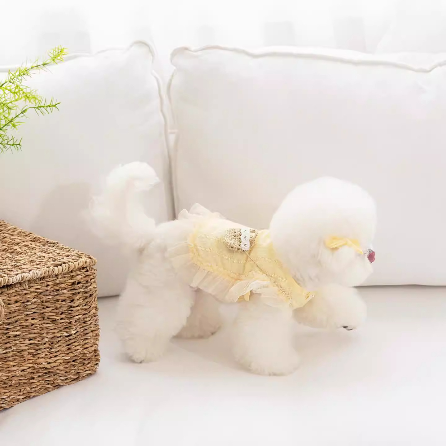 Perro pequeño de encaje amarillo Bichon vestido de princesa bolso de mensajero cachorro verano falda de hada perro mascota ropa de perro falda