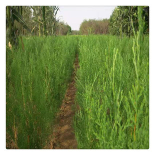 ���ع����Ȱذ�ľ���С�繤�����·�G�����������l