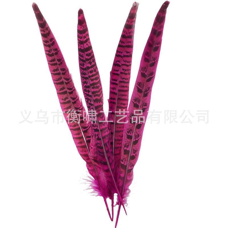 染色彩色羽毛母山鸡尾野鸡毛DIY手工制作婚庆舞台材料服饰配件|undefined