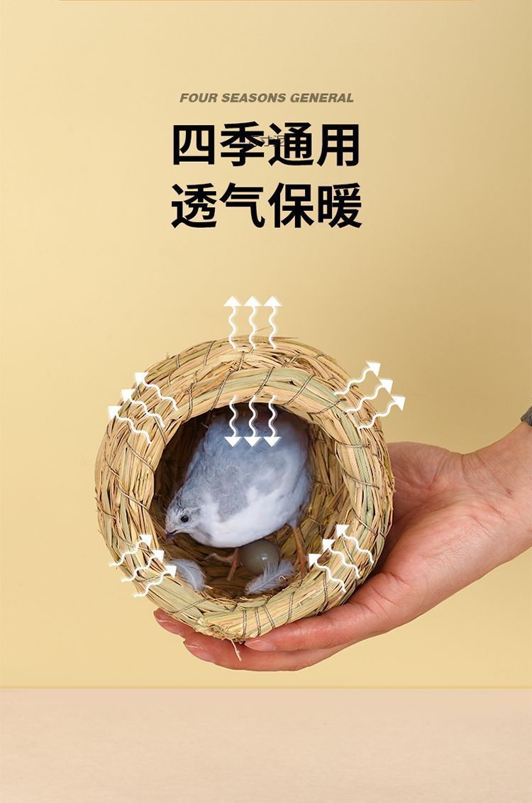 62b1711e-8405-4ba0-9b4e-781bf2e86974.jpe