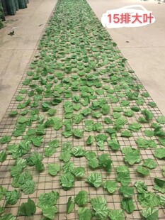 ���ϾG�W�o�¾Gɫ�W������~�W