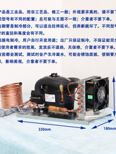 ����QD30WС����ˮ�C�M220V����ѭ�hˮ΢�����䉺�s�C���b��.��di