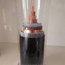 ���� �^���V����| RTXMY4*50+1*25 ������ȼ�V����|