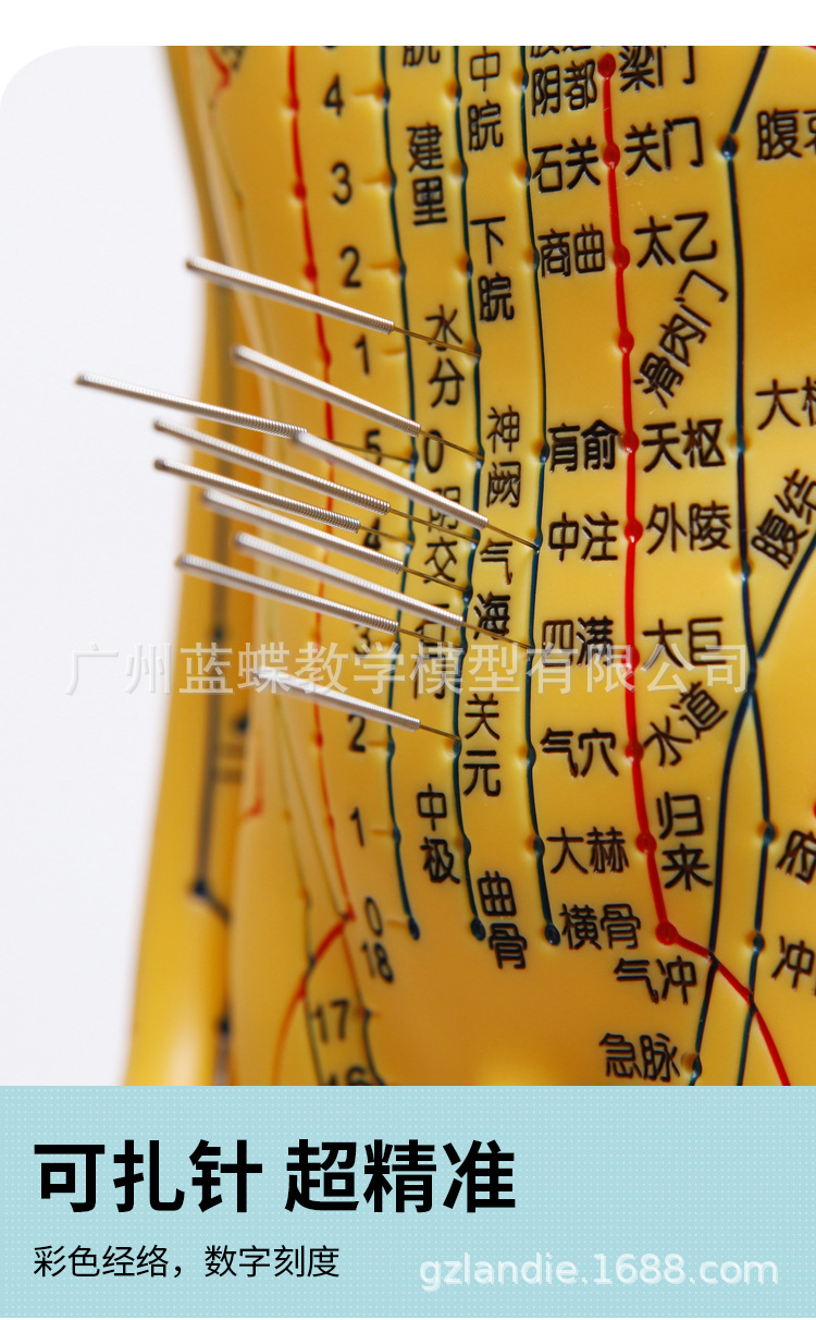 5262cm针灸人_03