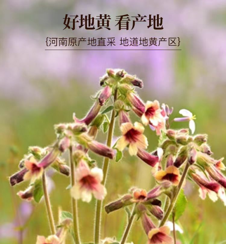 Sheng Di Huang Slices (Rehmannia glutinosa) — Dried Food Herb for Tea & Soup overview