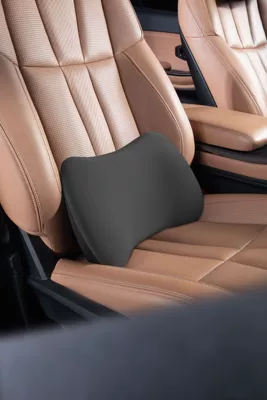 headrest and lumbar support, high-end memory: Waist support - dark-night-black-single-lumbar-support-pillow