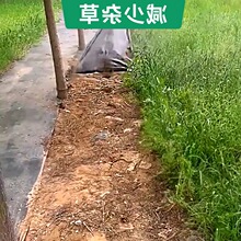 �羳�e�����@ͥԺ���ݲ��@�־G���@ˇ���������ز˵��Z��ʯ䁴��l
