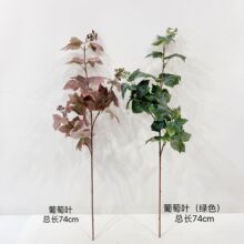 ��֦����ֲ������Ҷ ��ͩҶ��ɫ��Ҷ �쾰���û�����װ���巿��ֲ