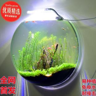 Acrylic vase wall-mounted landscaping water plant tank living room wall tropical rain forest fish tank aquarium micro-landscape