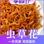 散装源头食用定制虫草花