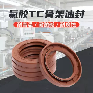 现货氟胶骨架油封TC/TG/TG4/FB型耐高温耐腐蚀旋转水封减速机油封