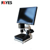 微循環檢測儀 XW880末梢血管觀察儀 透視眼測試儀流態形態顯微鏡