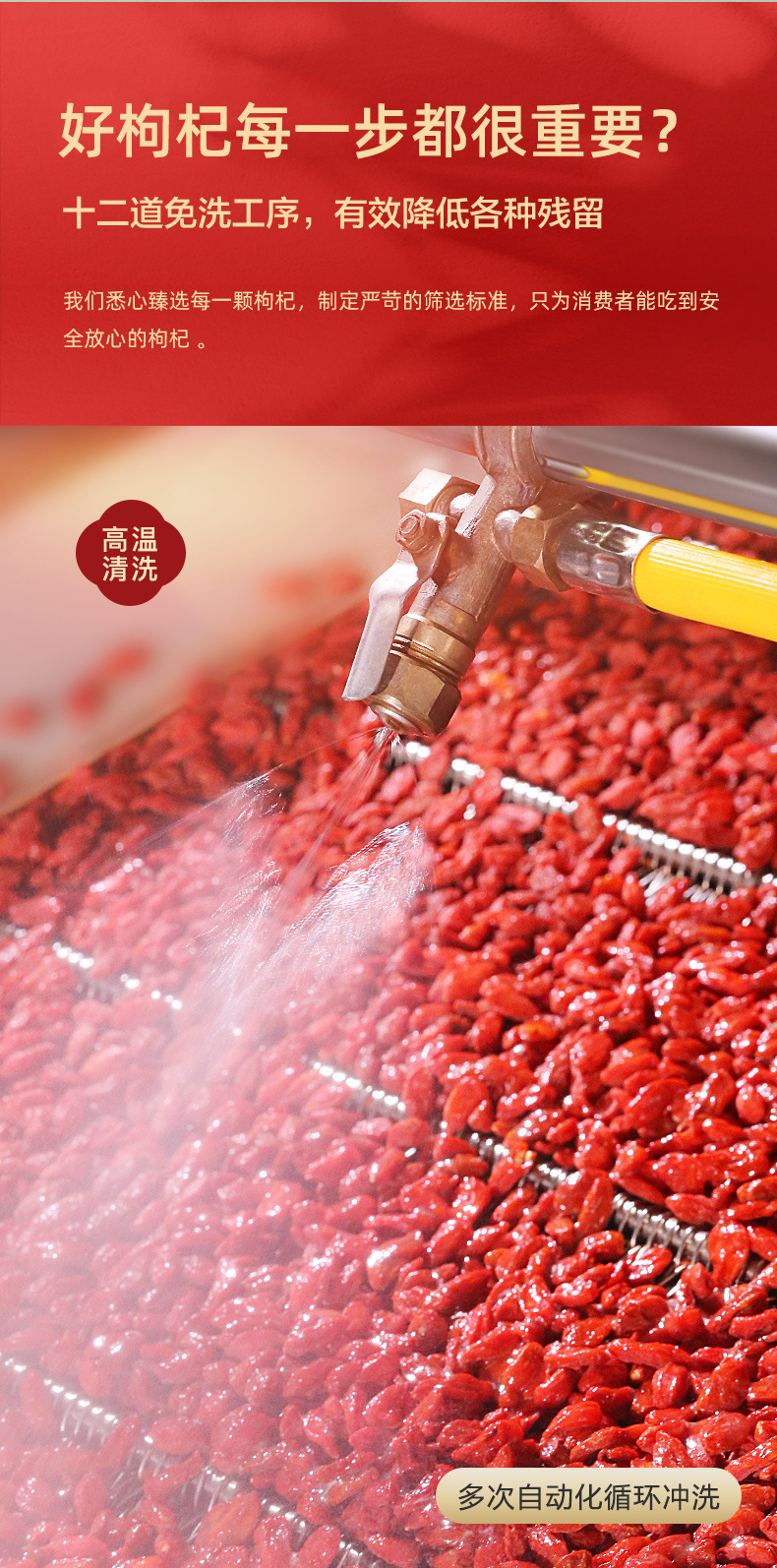 Ning'anbao Goji Berries Ningxia Premium First Harvest Ready to Eat 250g x 2 Bags quality and texture