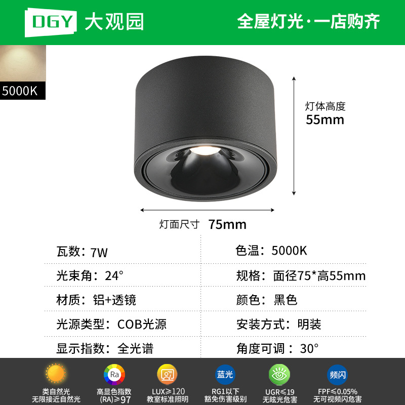 Da Guan Jardín luz de reflector anti-deslumbramiento colina sala de estar sin luz principal luz de techo downlight led corredor luz de techo 495L image 34