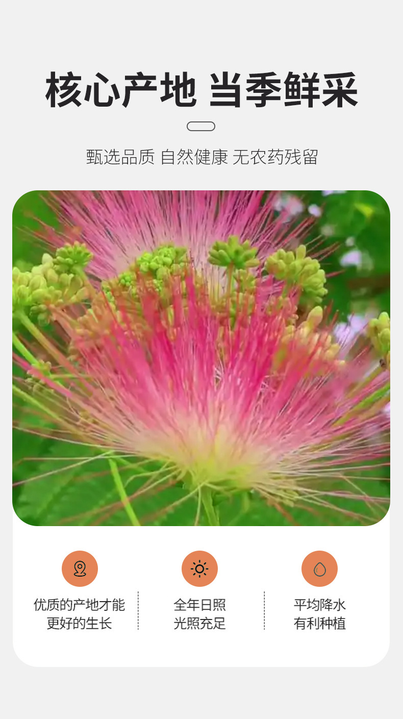 Dried Albizia Flower Tea He Huan Hua Loose Herbal Flowers 500g Bulk Pack quality and texture