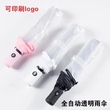 透明雨伞女折叠小雏菊网红透明伞小清新韩版全自动大白色学生女神