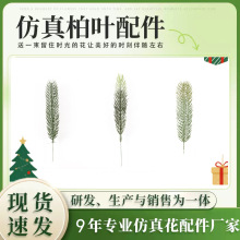 ���~��֦ �}�Q������ᘾGֲ���hȦ�b� �}�Q���b�Ʒ����廨���