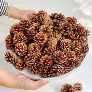 ��Ȼ���ɹ�100����ϳߴ����С�ֹ��b��ɹ����׃��@�}�Q�ɹ�