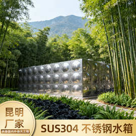 50方楼顶304不锈钢水箱方形焊接组合装配式保温蓄水箱云南厂家