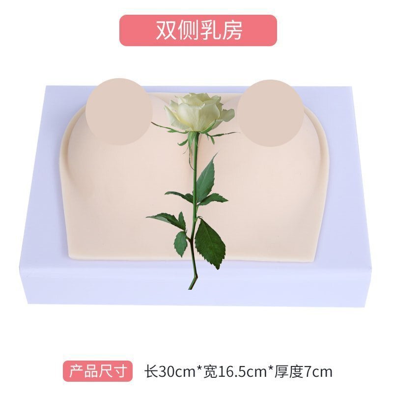 ������ɩ�������Ů���鷿����ʦ��ѵ���߲���轺�鷿�̾�ģ��