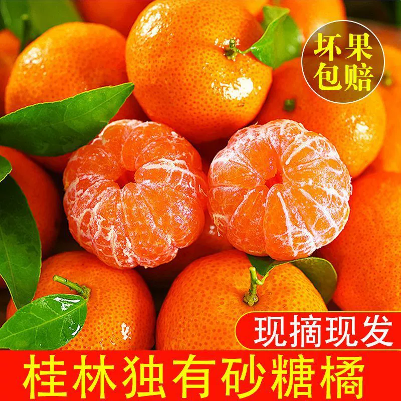 Сладкий апельсин Конфеты Гуанси Золотая осень Конфеты Апельсин Тонкокожистый без косточек Мандарин Апельсин 5kg Коробка цельных фруктов Оптовая продажа.