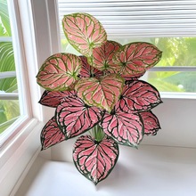 18�^�~�T�~�Pβ�~�����~��ˮ�^������Gֲ�辰����͏d�b��軨��