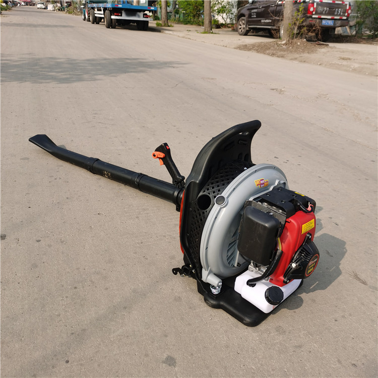 便携式汽油吹风机 手提式大棚吹雪机 四冲程大功率吹尘机