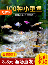 Ꭷˮw^p~С͌ɏRtGȸȺ~~