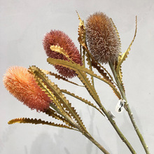 ��Ʒ�Ꭷ����ֲ���ֲ֦ëᘉ|�� ���r�E �Ҿӿ͏d�b��ٻ��[��