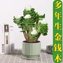 ���Xľ���� �Ϙ�����ֲ�� �҃ȿ͏d������ؔС���X���辰�Gֲ���B