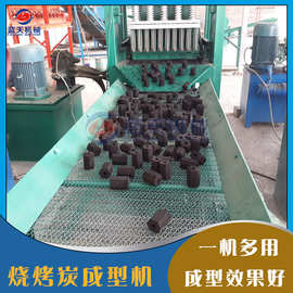 液压烧烤炭成型整套设备 煤粉碳粉果木炭粉压块机 水烟炭制棒设备