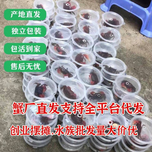 ����з����з����з�[�������^�pзС�з�����������l�з�Ї�