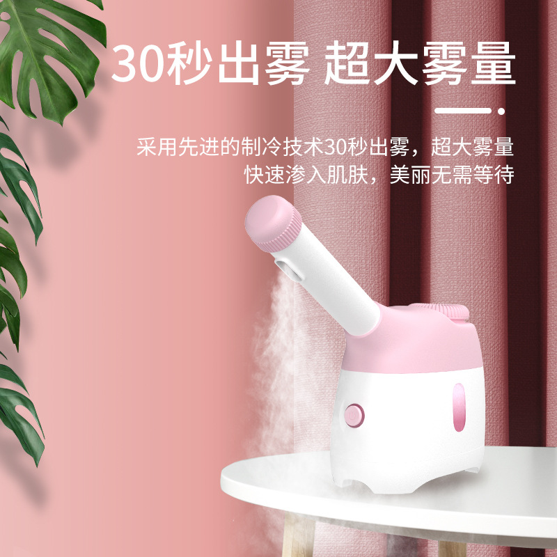 厂家 蒸脸器冷热喷香薰蒸脸仪精油果蔬脸部加湿喷雾器美容补水仪
