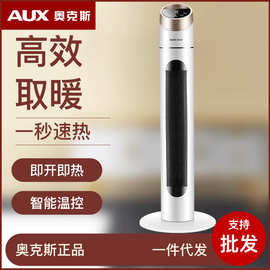 奥克.斯取暖器家用电暖气省电浴室热风卧室立式电热暖风机加热45A