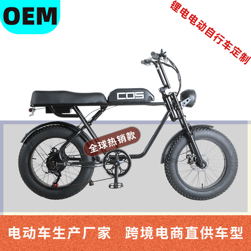 Tianjin Electric Bicycle 20inch Fat Tire Retro Off-Road Variable Speed Mountain Power-Assisted Electric Bicycle Cross-Border Special