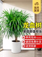 ��Ѫ�������k���҃ȴ��Ϳ͏d���F����լ�Gֲ����Ϙ���������횘�