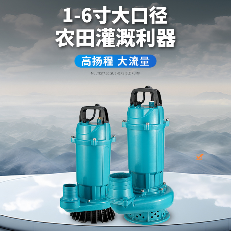 Bomba sumergible doméstica QDX 220v bomba de bombeo pequeña bomba de alta elevación bomba de riego de gran caudal agrícola