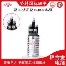 �V�|��| �X�Ͻ���|YJHLV-0.6/1kV�X�Ͻ�^�������|