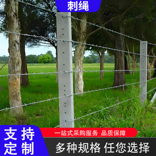 䓽z���K�F�z�W���ڇ������F��޼�O�zԺ�����̸��x�W�������F�z�W