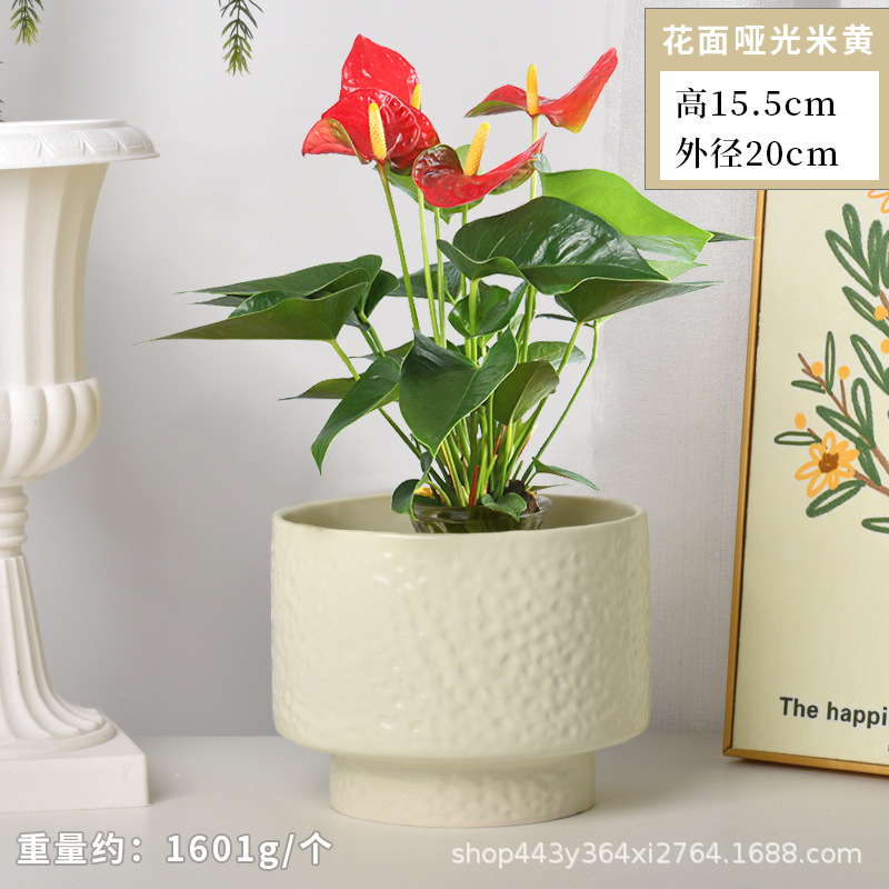 Cerámica orquídea mariposa maceta especial ins crema viento alto sentido decoración del hogar verde cerámica maceta grande image 13