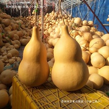 ��ͨ؛���J������Ȼ���Ϻ��Jɫ���Ӯ�ԭ����J��Ȼ���J���wͬ�W