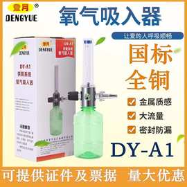 登月医用墙式氧气吸入器医院中心供氧管道国标德标式流量表湿化瓶