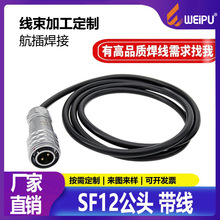 ���ֺ��ղ��^SF12���^��|�����B�Ӿ��Ķ��Ӿ���Ӿ�����CNLEIFU