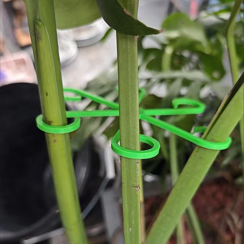 Soporte de tallo de planta de bambú de tortuga de espalda de tortuga marco de soporte plegable auxiliar rama marco de soporte de flores de jardinería
