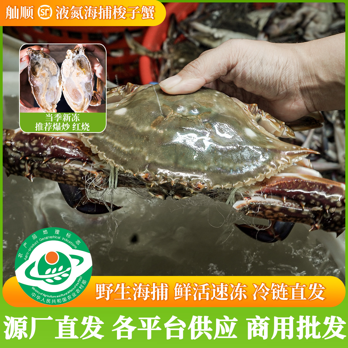 舟山梭子蟹鲜活速冻特大公蟹野生飞蟹肉蟹海鲜水产商用批发大螃蟹