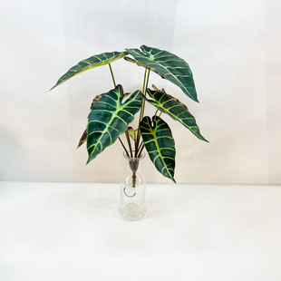 ����ֲ��10�^�����^�~ ������οþGֲ���^���̲��ü��~�Ӻڿ�ȸ