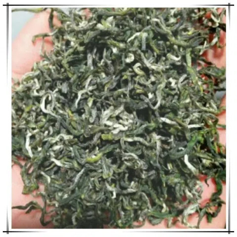 2025 New Tea Rizhao Green Tea Light Fragrance Type Bagged Tea 500g Free Shipping Healthy Drink Organic Shandong After-Rain