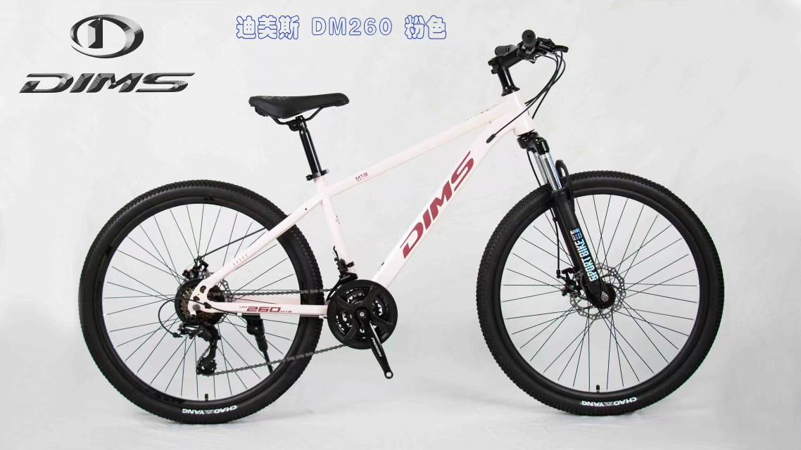 Dimas High-End Mountain Bike Adult Mountain Bike