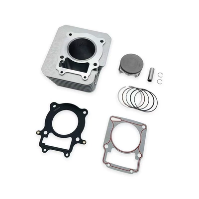 Motorcycle engine and accessories Engine Zs175Fmn Pr300 - cylinder-set